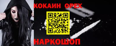 твердый Кингисепп