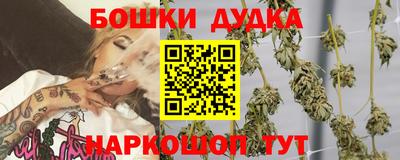 твердый Кингисепп
