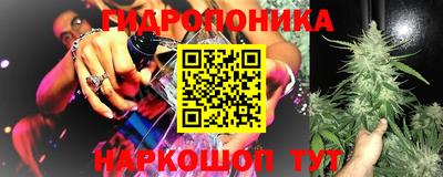 твердый Кингисепп