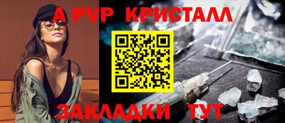 твердый Кингисепп