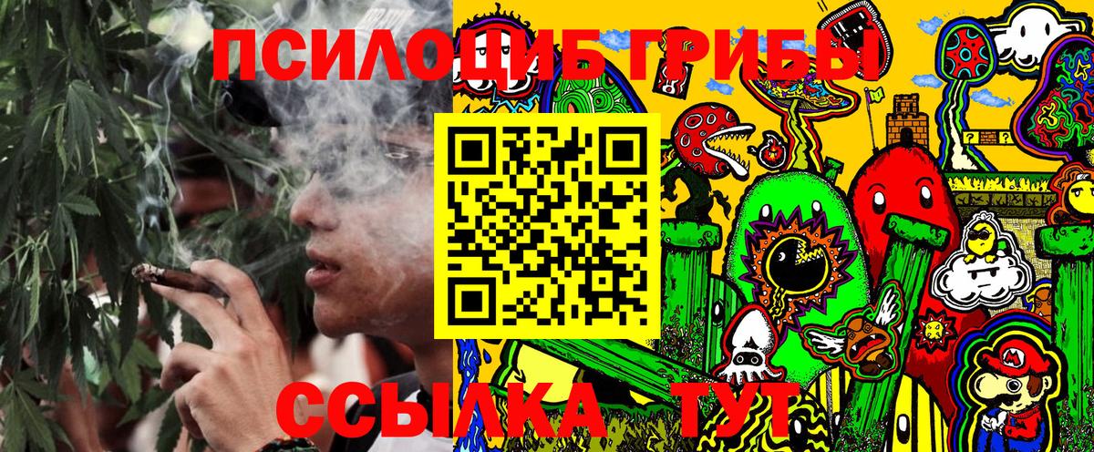 Галлюциногенные грибы Psilocybine cubensis  Вход с VPN  Котельники  Галлюциногенные грибы Cubensis 