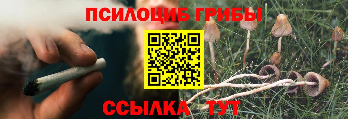 Псилоцибиновые грибы Psilocybe Котельники